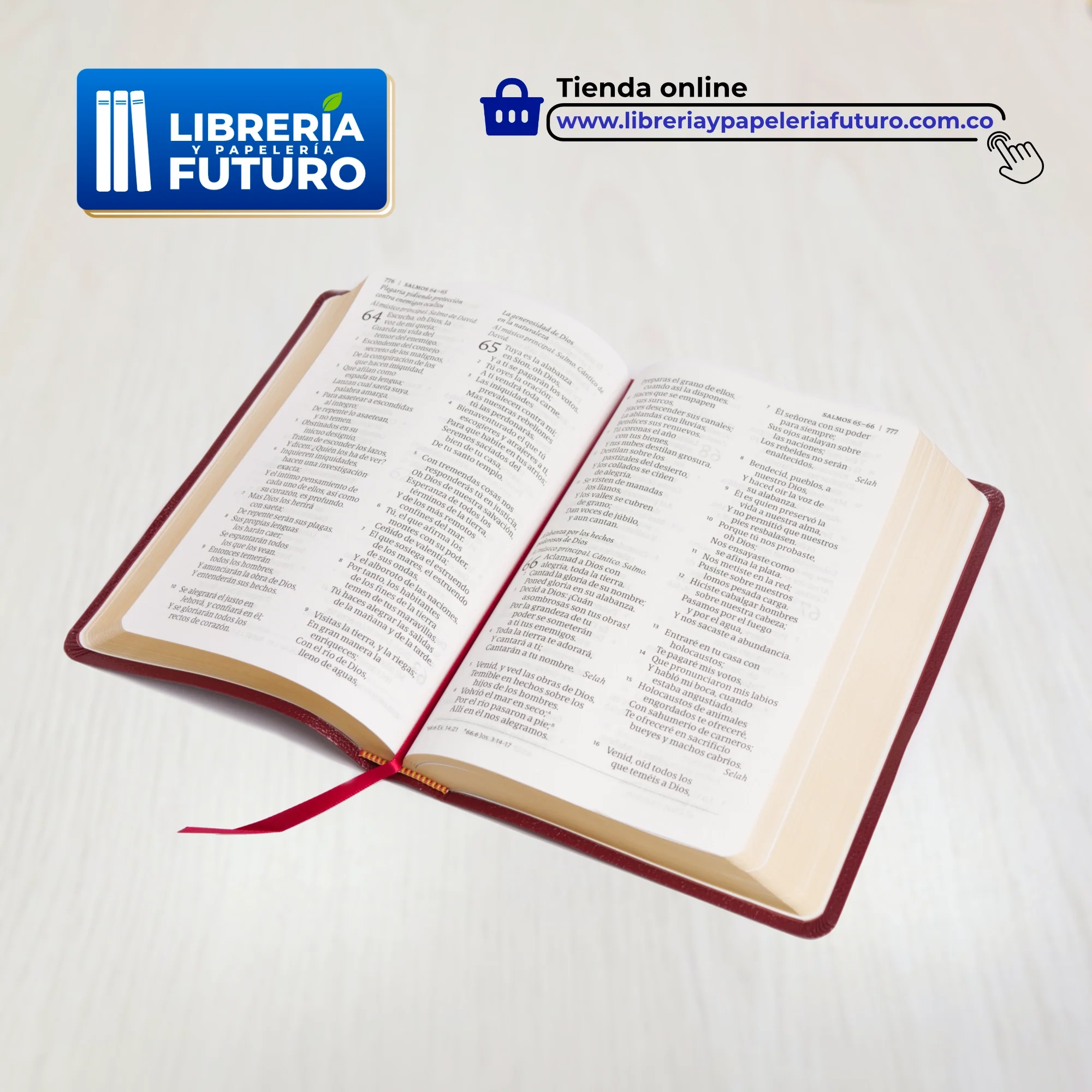 Imagen del producto 4